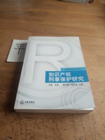 知识产权刑事保护研究