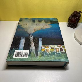 彼得.多伊格 英文原版 Peter Doig 艺术 书籍 个体艺术家 绘画