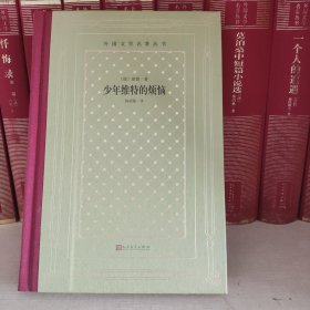 网格本少年维特的烦恼