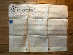 1872年8月10日 英文羊皮纸转让契约 涉及位于丝塔福德郡汤斯顿的金狮酒店的转让 72*58厘米 保存非常好 精品！