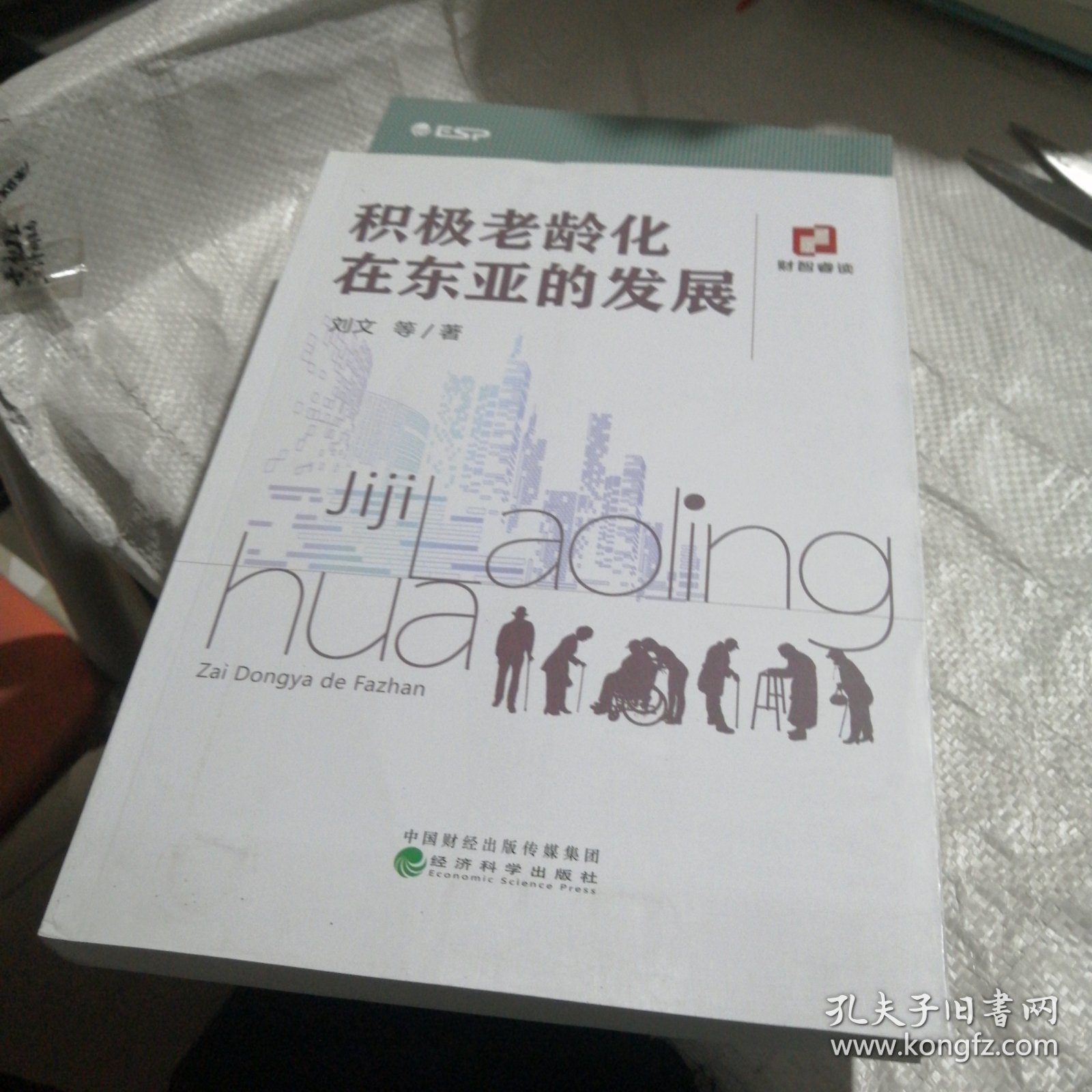 积极老龄化在东亚的发展