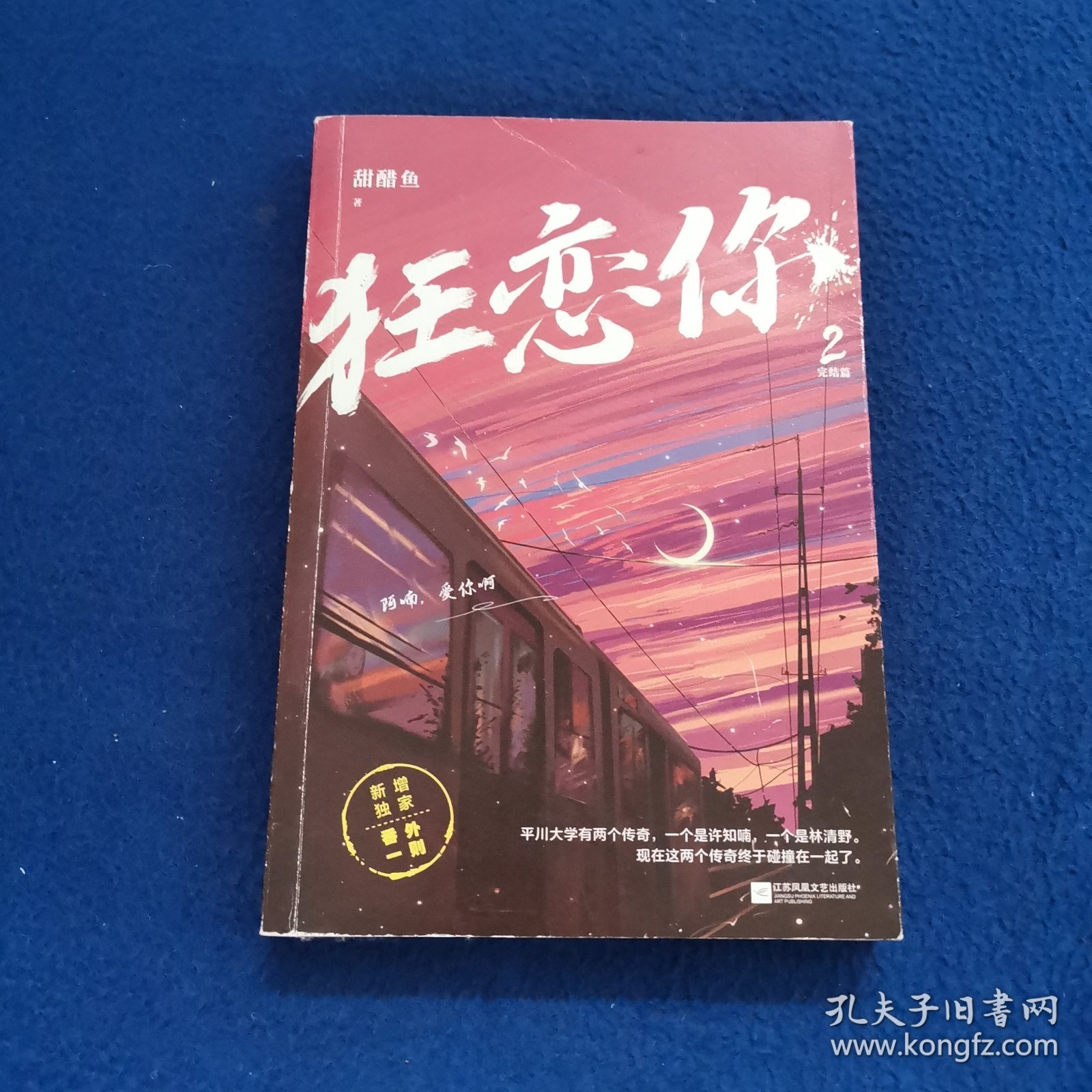 狂恋你2.完结篇