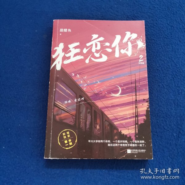 狂恋你2.完结篇