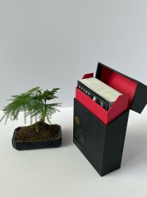 惜分飞系列·晚清文物明信片：菩萨的微笑（晚清民国时期中国菩萨像遗迹）