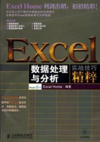 Excel数据处理与分析实战技巧精粹