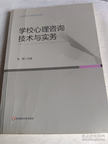 学校心理咨询技术与实务