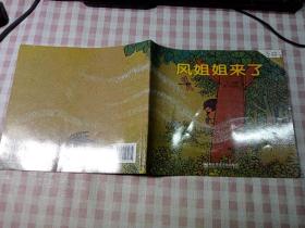 幼儿园早期阅读资源：幸福的种子·大班（下）风姐姐来了 第二版