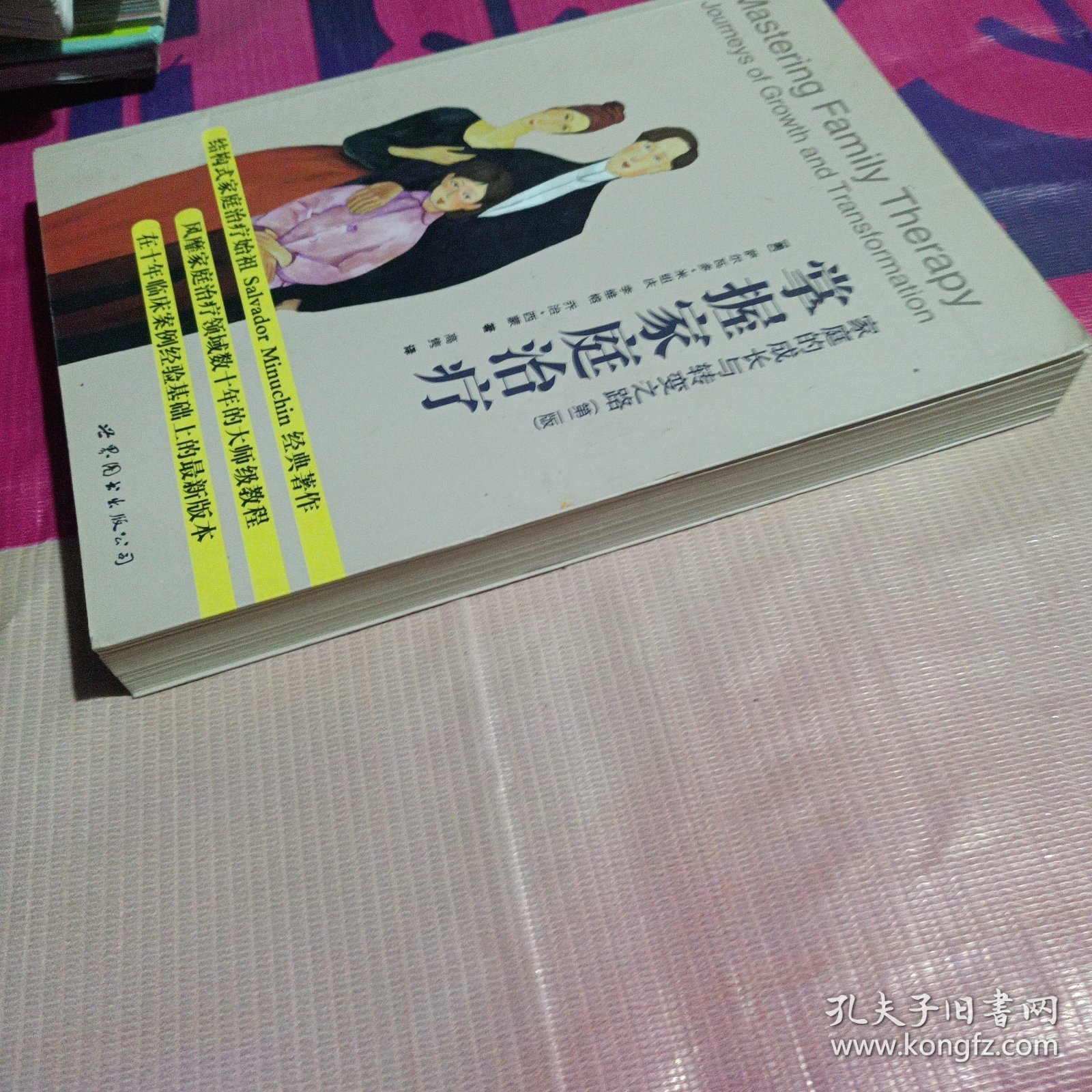 掌握家庭治疗：家庭的成长与转变之路（第2版）