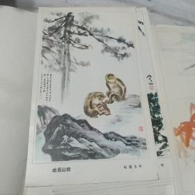 天下名山 第一集（李琼久 岑学恭 等）（全10张画片）