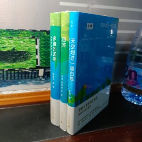 【东西签名本】新晋茅盾文学奖得主东西系列：天空划过一道白线+回答+多维的回响（套装共3册）