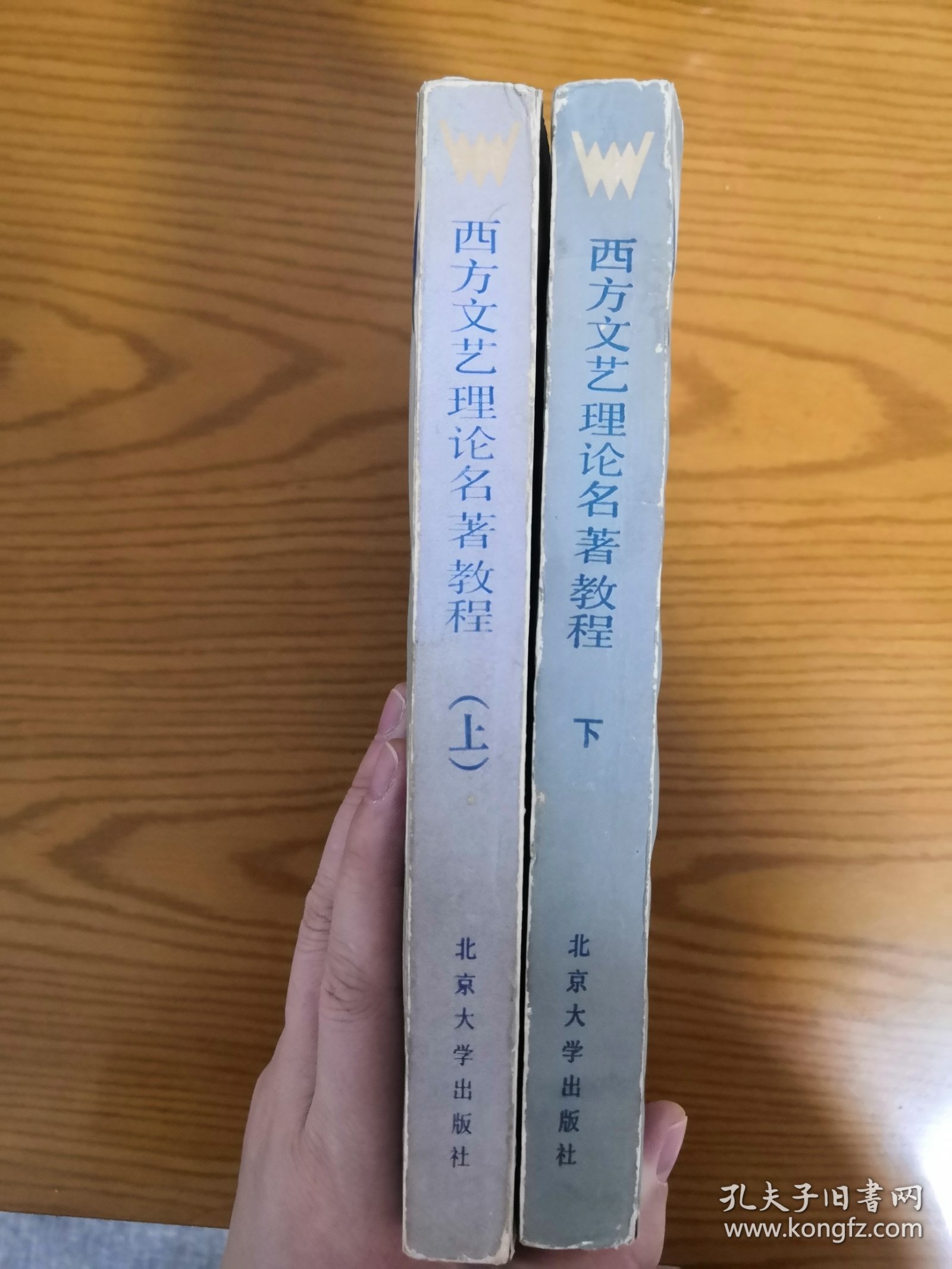 西方文艺理论名著教程上下两册