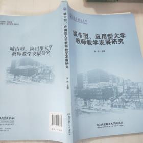 城市型应用型大学教师教学发展研究