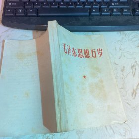 毛泽东思想胜利万岁 林副主席指示