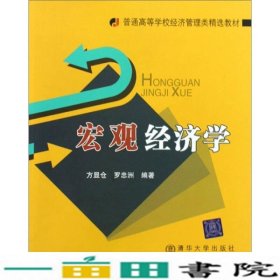 宏观经济学方显仓罗忠洲清华大学9787811237504