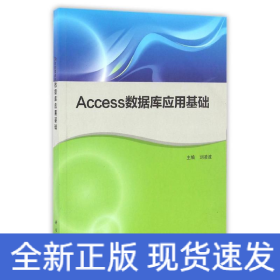 Access数据库应用基础