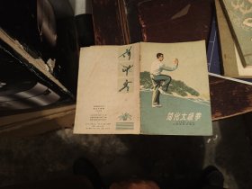 简化大极拳