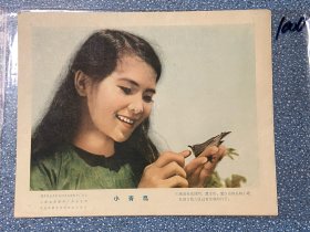 电影海报~剧照~8全~小青鸟，