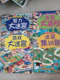 大迷宫游戏书智力大迷宫 全4册儿童迷宫逻辑思维训练幼儿走迷宫书宝宝图画捉迷藏专注力训练智力开发书籍