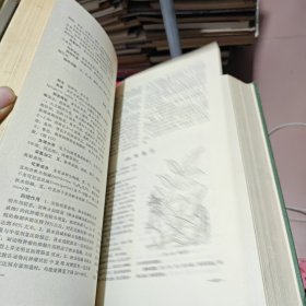 全国中草药汇编 上册