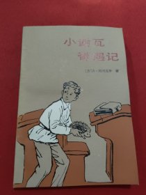 小谢瓦奇遇记