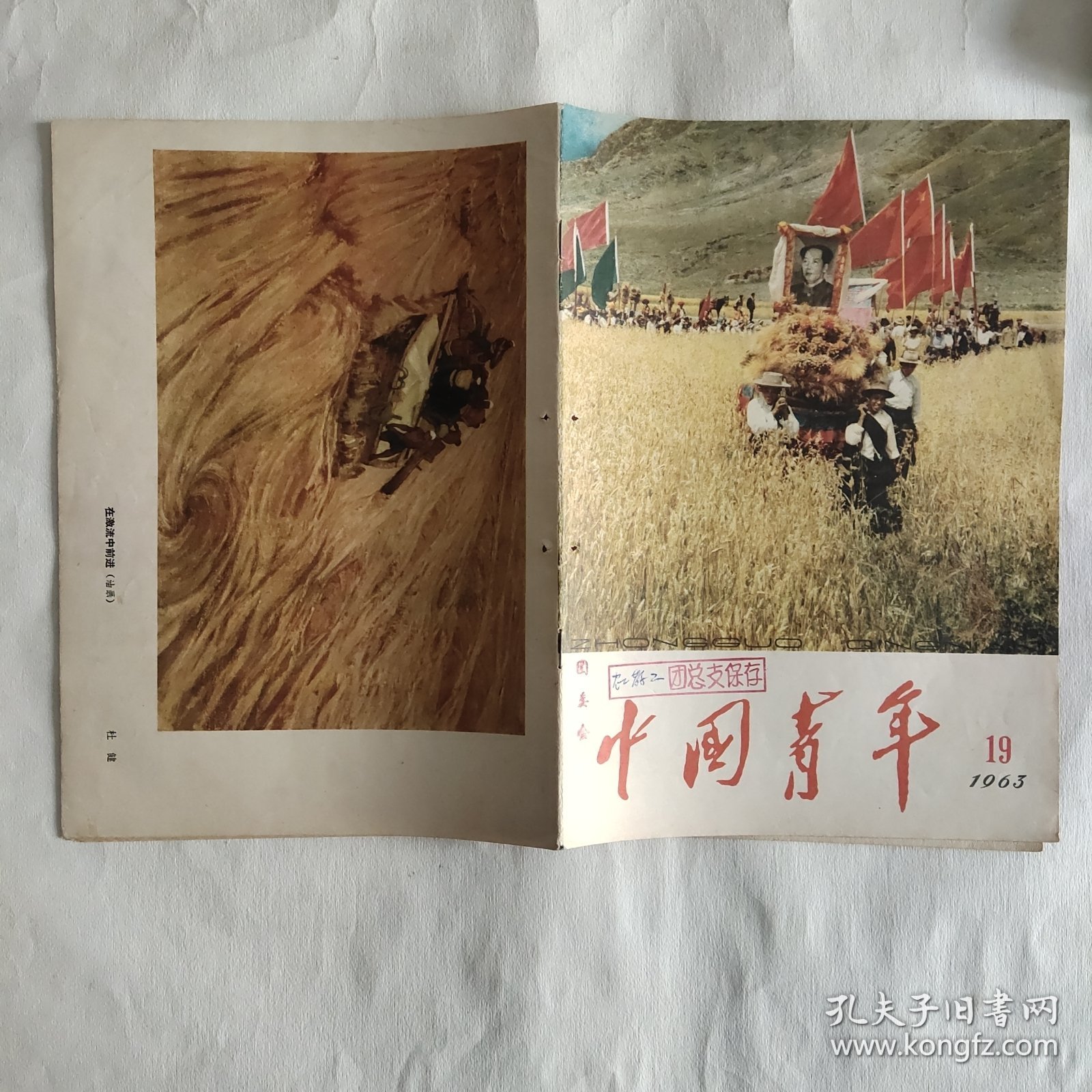 中国青年杂志 1963年第19期