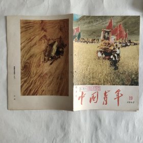 中国青年杂志 1963年第19期