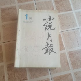 小说月报1991年1-12期