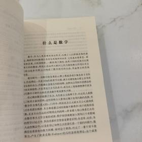 什么是数学：对思想和方法的基本研究