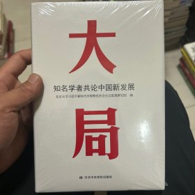 大局：知名学者共论中国新发展