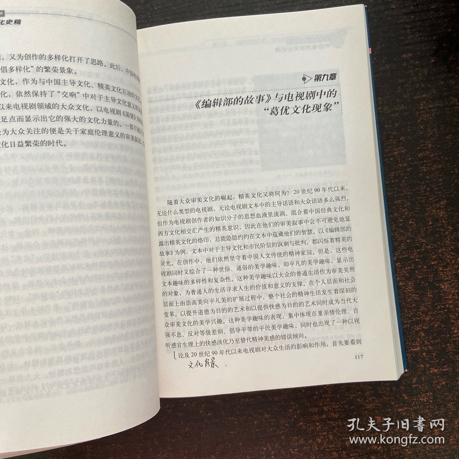 中国电视剧文化史稿