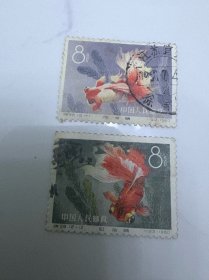 特38金鱼邮票2张12-11和12-12信销票 面好背小薄 一起70元 单45一张。2张筋票