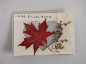 枫叶诗句 塑封