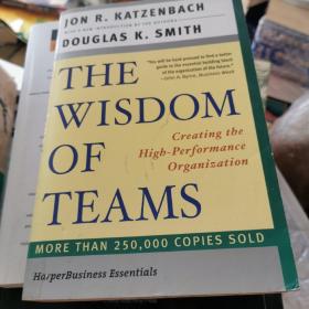 The Wisdom of Teams[团队智慧]