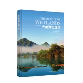 正版 大美湖北湿地 湖北林业局 组编；王学雷，张明祥，石道良 主编 湖北科学技术出版社