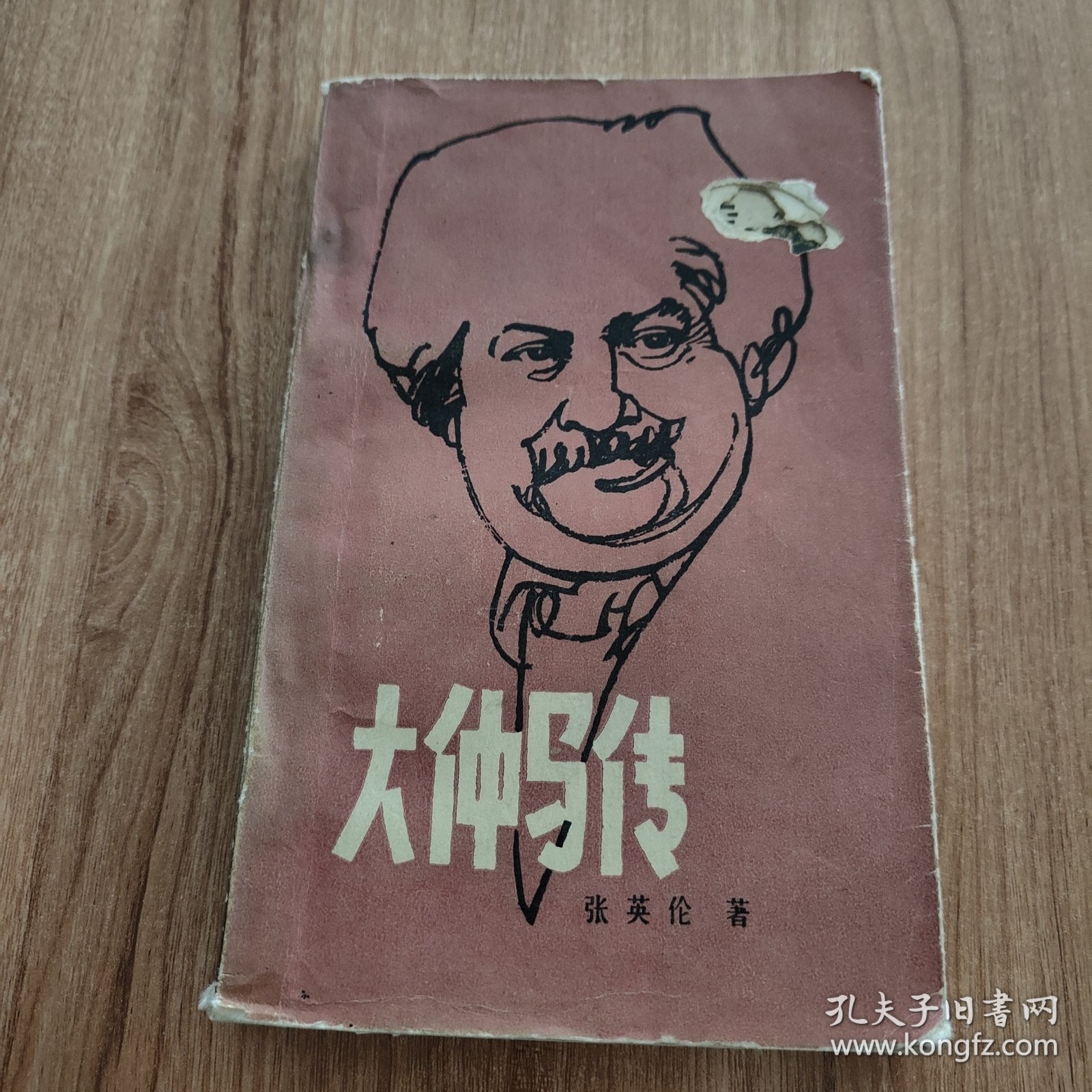 大仲马传（大仲马法国19世纪浪漫主义作家是1984.5一版一印343页）