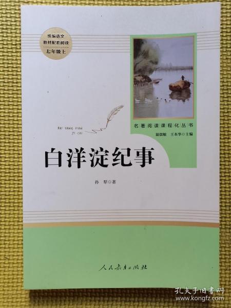 白洋淀纪事 名著阅读课程化丛书（统编语文教材配套阅读）七年级上