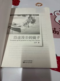 沿途漫步的镜子