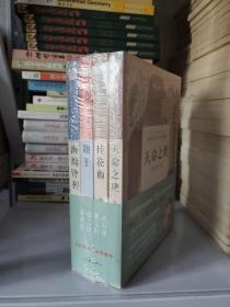 中国当代儿童文学四大天王经典小说集（套装共4册）天命之鹰，桂花雨，题王，海绵锋利。