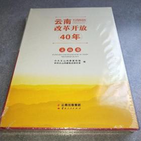 云南改革开放40年 文山卷*