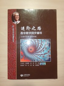 进阶之路——高中数学同步辅导(高中学科强基丛书)