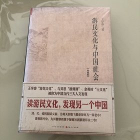 游民文化与中国社会（增修版）