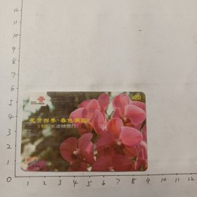 花开四季，春色满园
