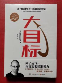 大目标（怀斯曼用心理学知识帮你拆解如何实现看似不可能大目标的心理励志图书）