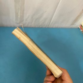 红楼梦新补