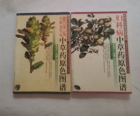 糖尿病心脑血管病中草药原色图谱，妇科病中草药原色图谱 “2册合售”