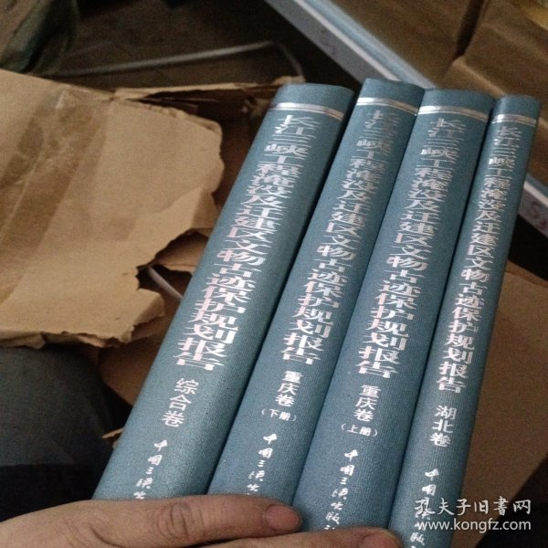 长江三峡工程淹没及迁建区文物古迹保护规划报告全4册