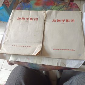 动物学附图1.2