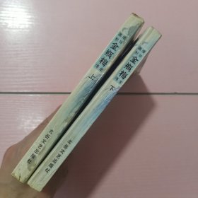 绘图评点金瓶梅全传 上下