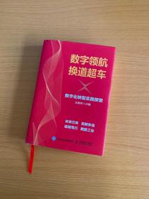 数字领航换道超车数字化转型实践探索