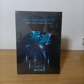 漏洞（第二版）塑封新书